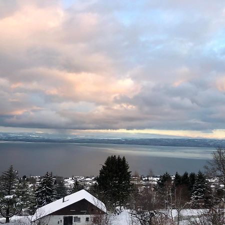 Appartamento Les Vies En Rose Évian-les-Bains Esterno foto