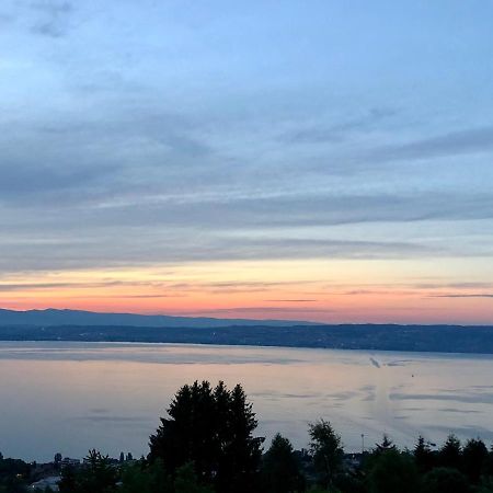 Appartamento Les Vies En Rose Évian-les-Bains Esterno foto