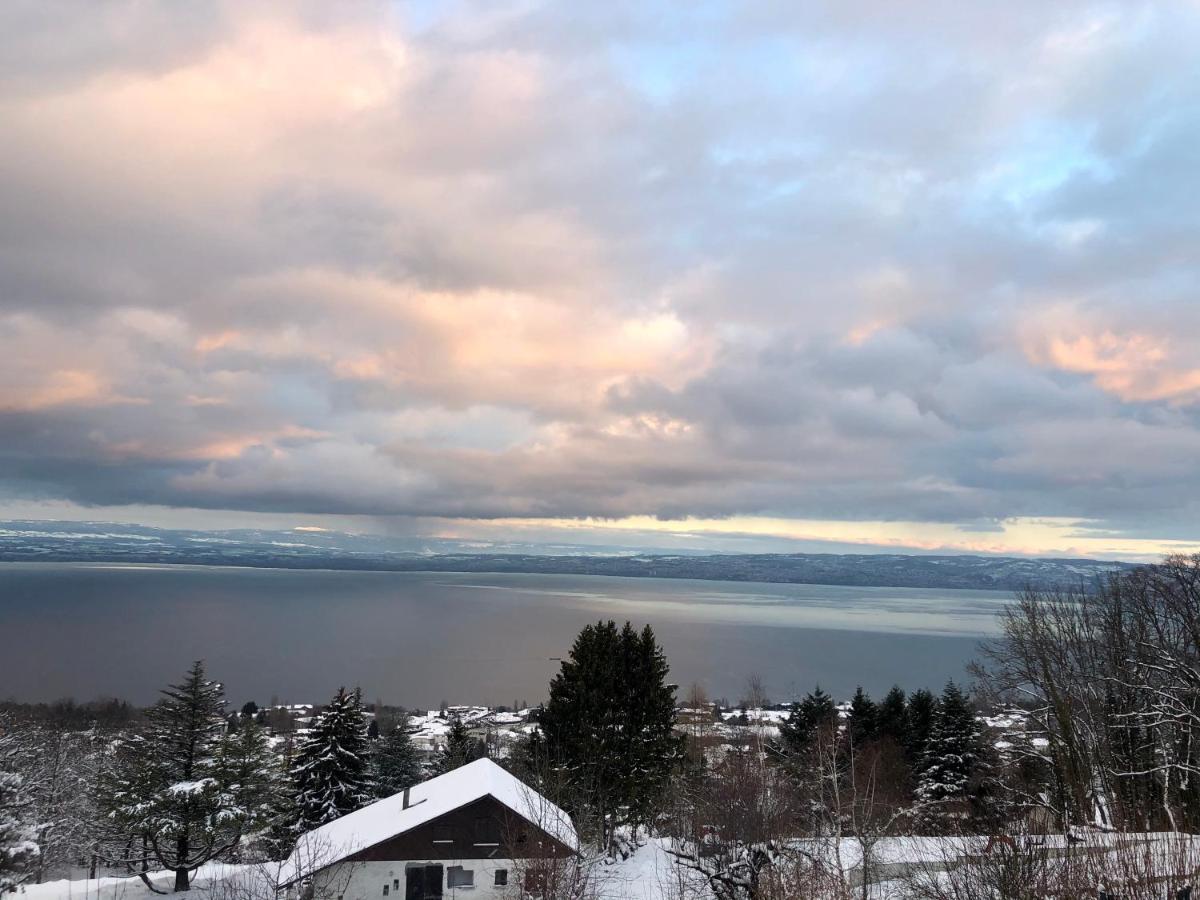 Appartamento Les Vies En Rose Évian-les-Bains Esterno foto