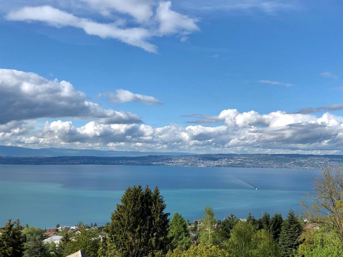 Appartamento Les Vies En Rose Évian-les-Bains Esterno foto